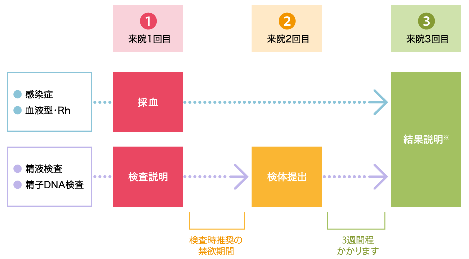 検査から結果の診察までの来院回数・期間の目安