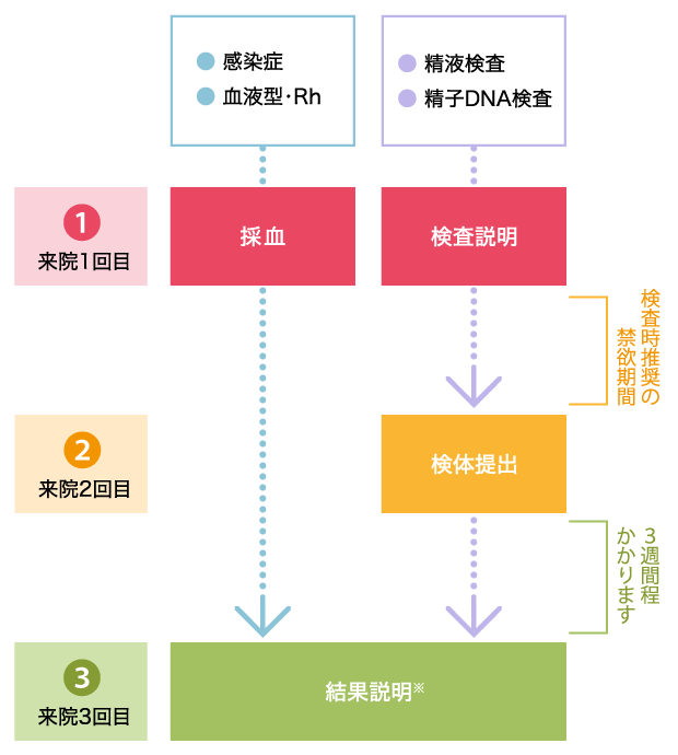 検査から結果の診察までの来院回数・期間の目安