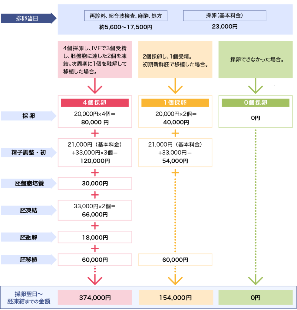 体外受精の料金例