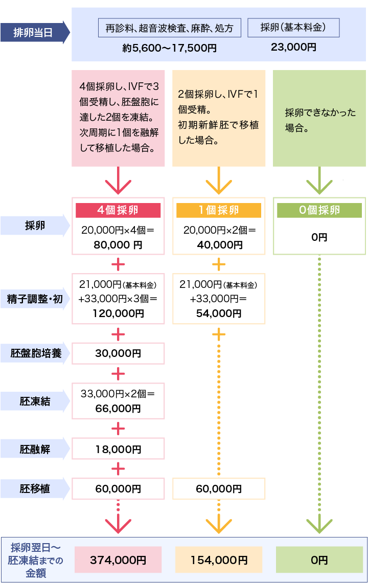 体外受精の料金例